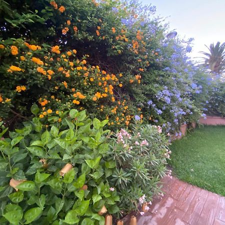 Apartamento Jardin Sanlucar Sanlúcar de Barrameda Zewnętrze zdjęcie