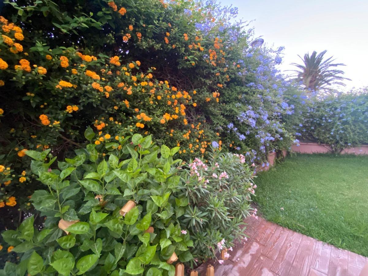 Apartamento Jardin Sanlucar Sanlúcar de Barrameda Zewnętrze zdjęcie